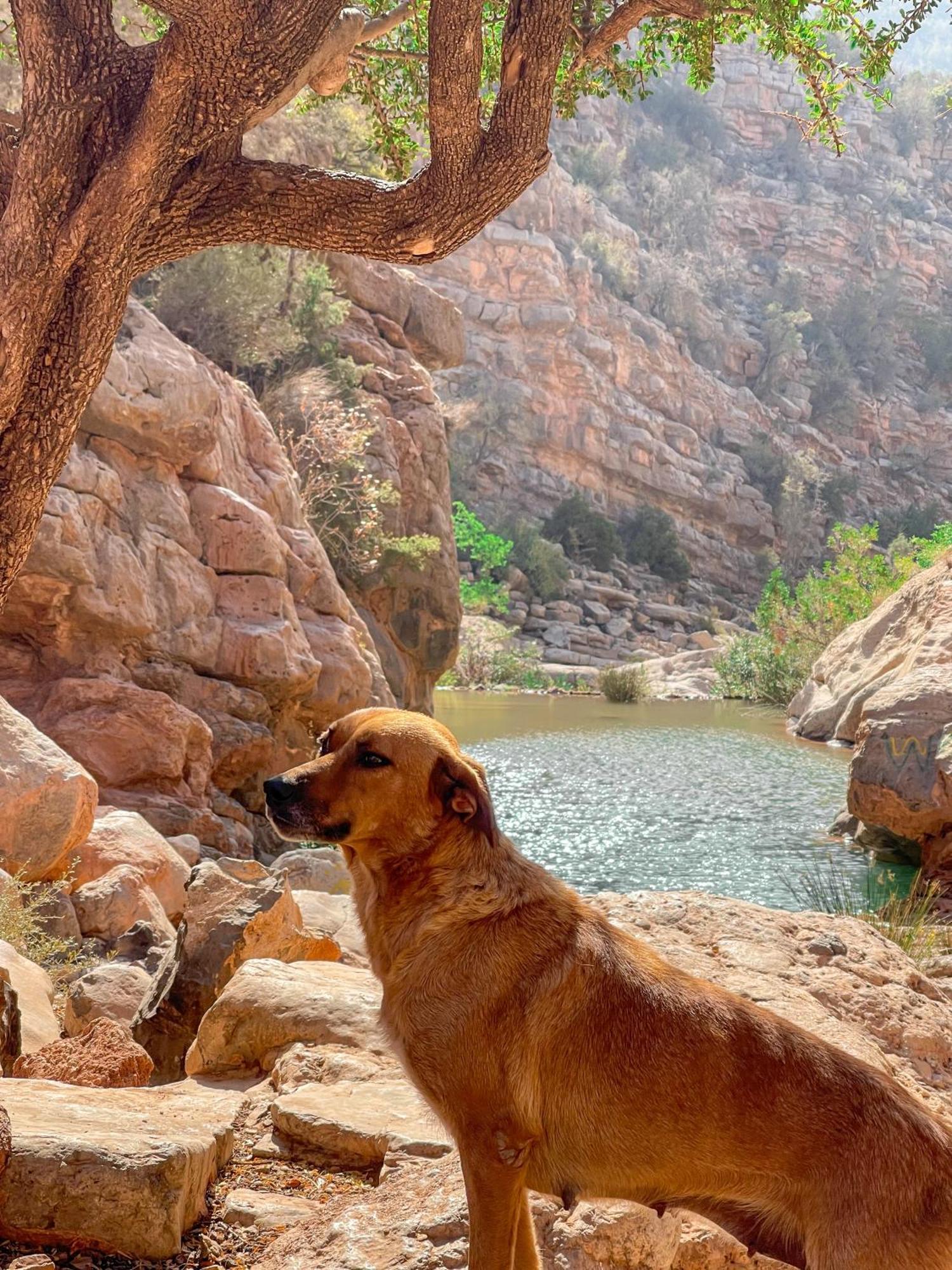 Tifrit Maison D'Hotes-Paradise Valley Imouzzer Ida Ou Tanane Buitenkant foto
